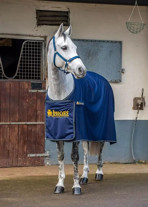 Bucas Power Prize Cooler - Image 11