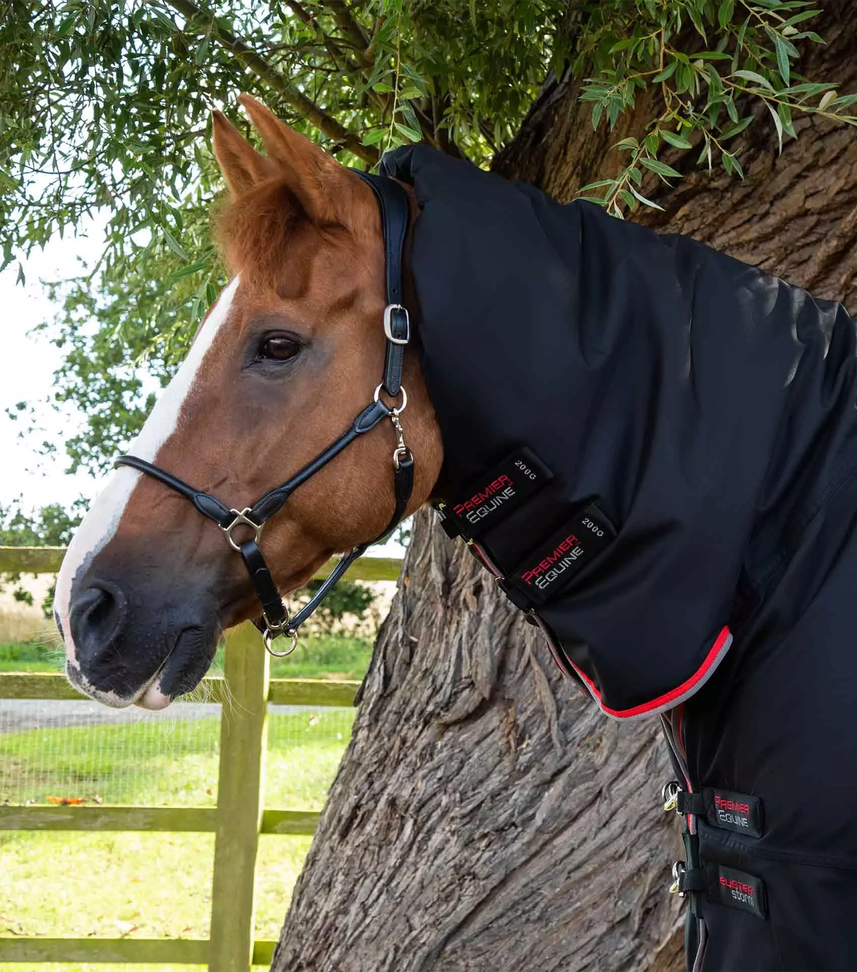 Premier Equine Buster Storm 400g Combo Turnout Rug With Snug-Fit Neck - Image 11