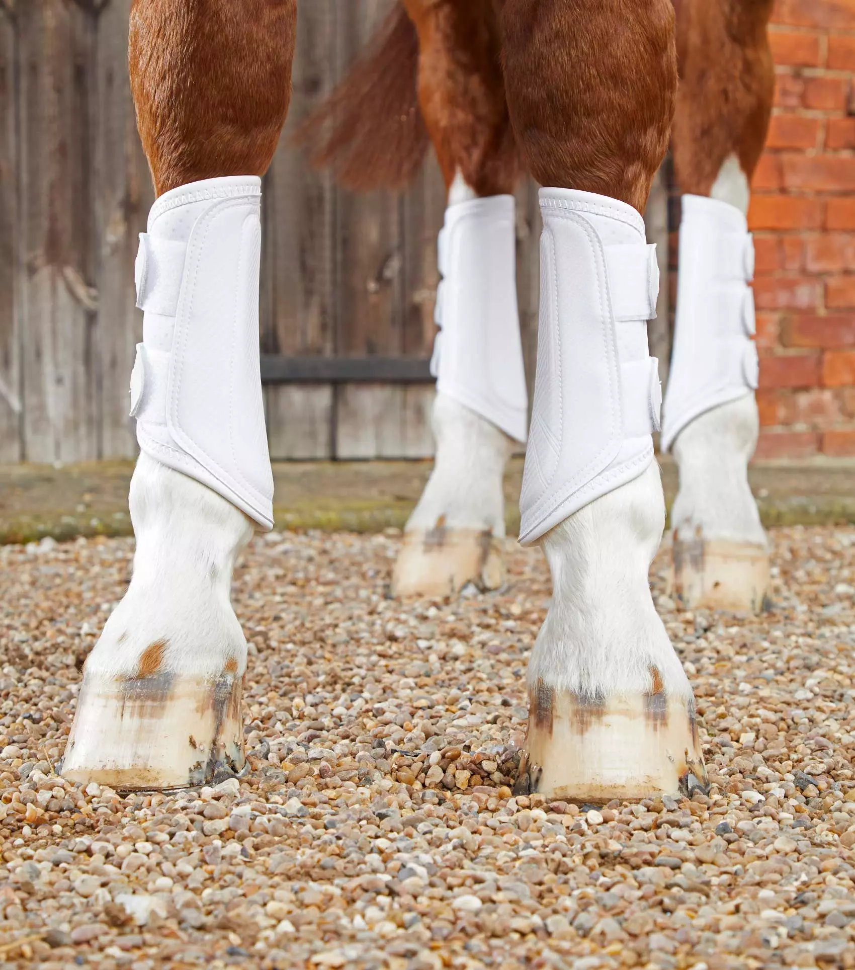 Premier Equine Carbon Air-Tech Double Locking Brushing Boots - Image 16