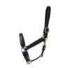 Coldstream Leather Padded Head Collar Black