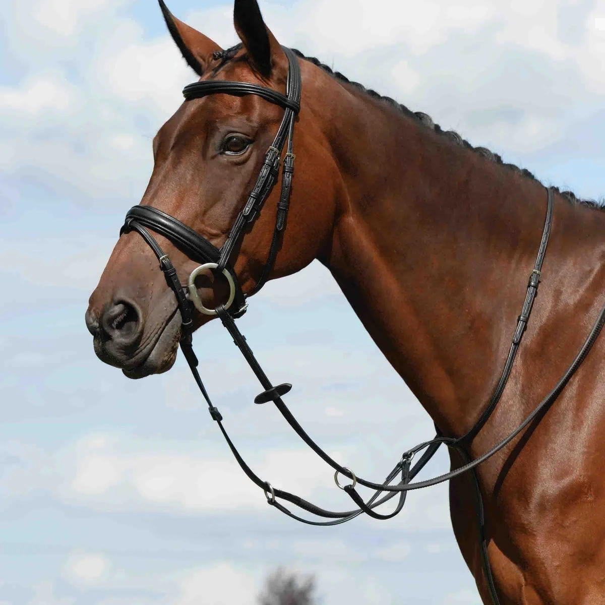 Collegiate Syntovia+ Plain Flat Running Martingale - Image 3