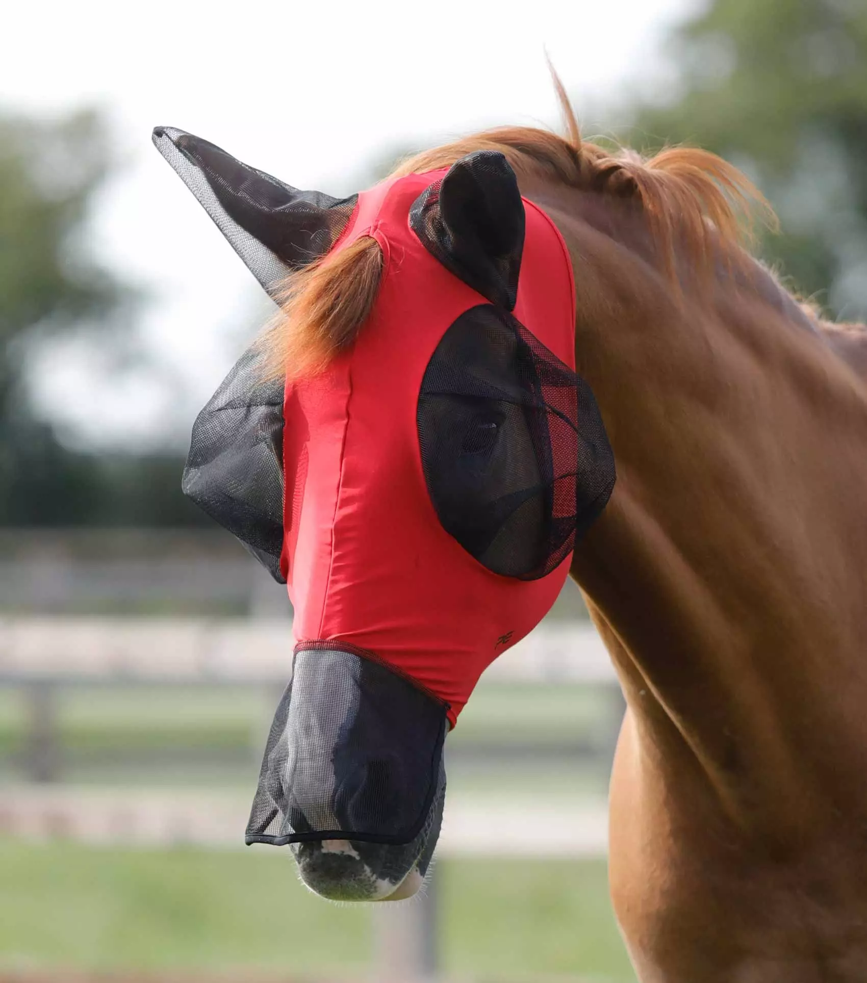 Premier Equine Comfort Tech Lycra Fly Mask Xtra - Image 4