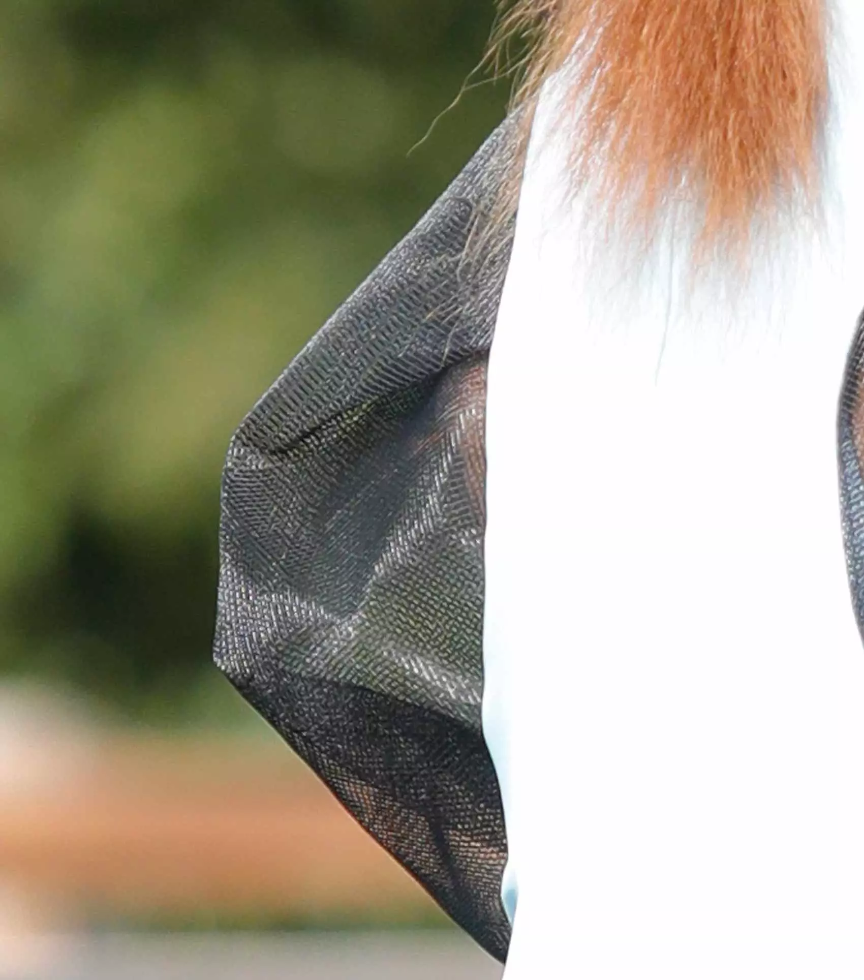 Premier Equine Comfort Tech Lycra Fly Mask Xtra - Image 20