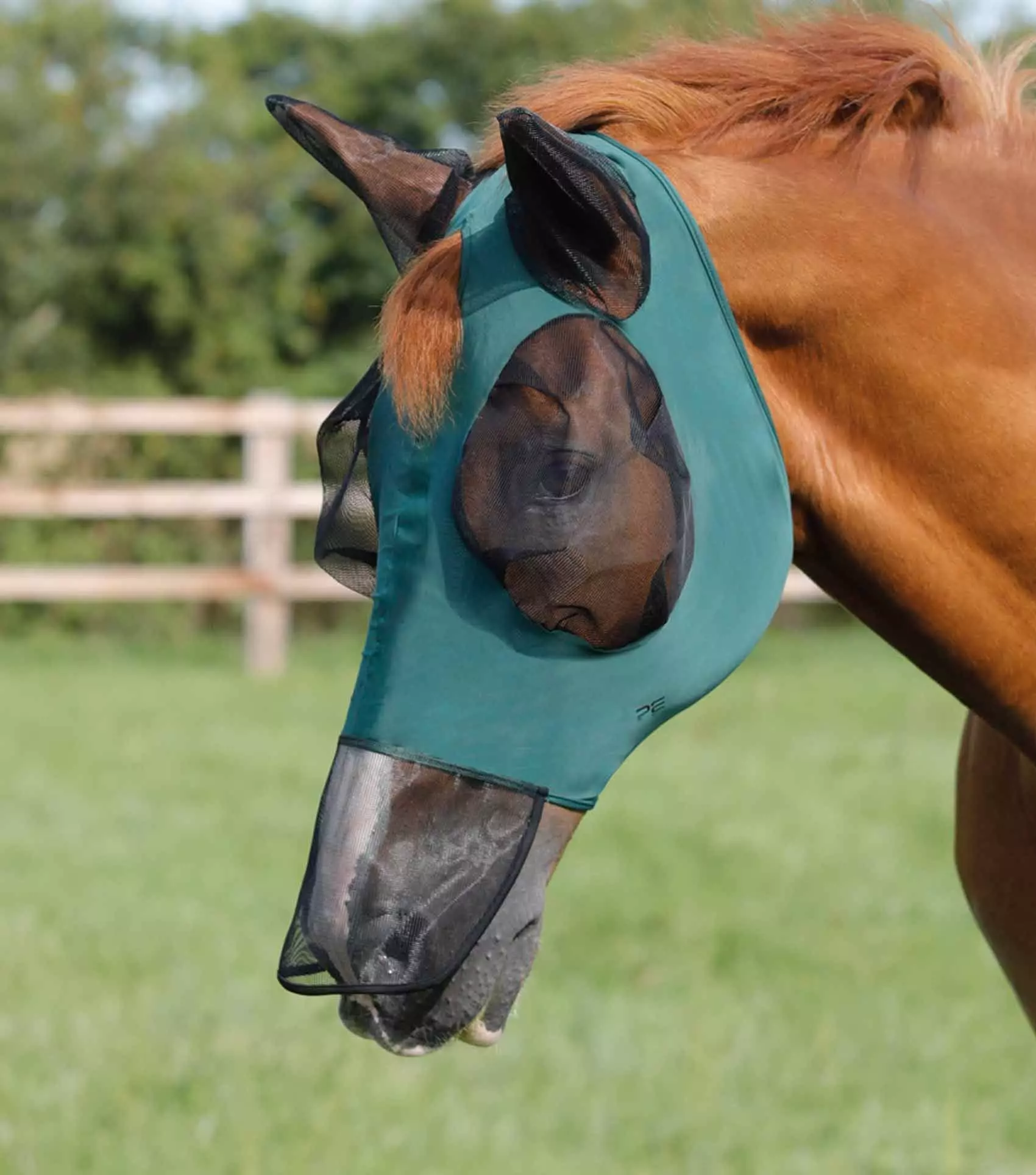 Premier Equine Comfort Tech Lycra Fly Mask Xtra - Image 12