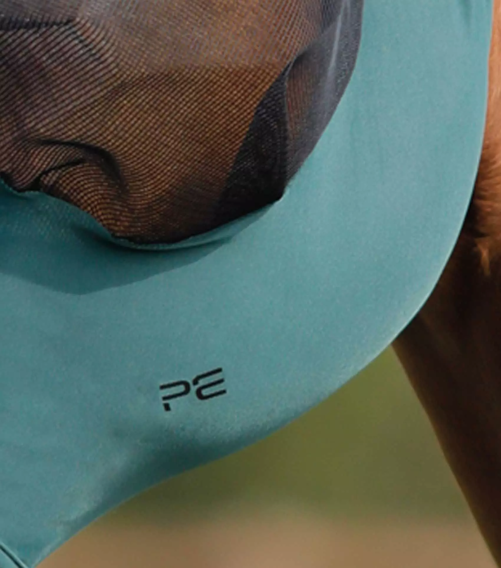 Premier Equine Comfort Tech Lycra Fly Mask Xtra - Image 5