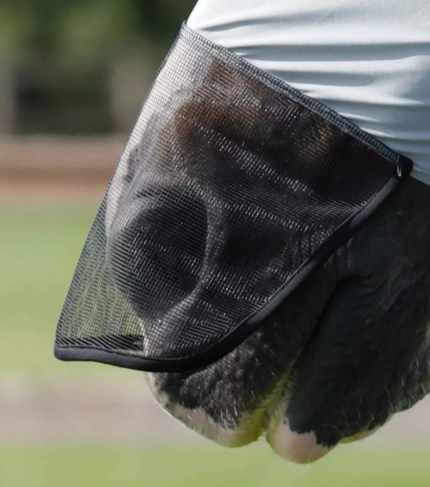 Premier Equine Comfort Tech Lycra Fly Mask Xtra - Image 13
