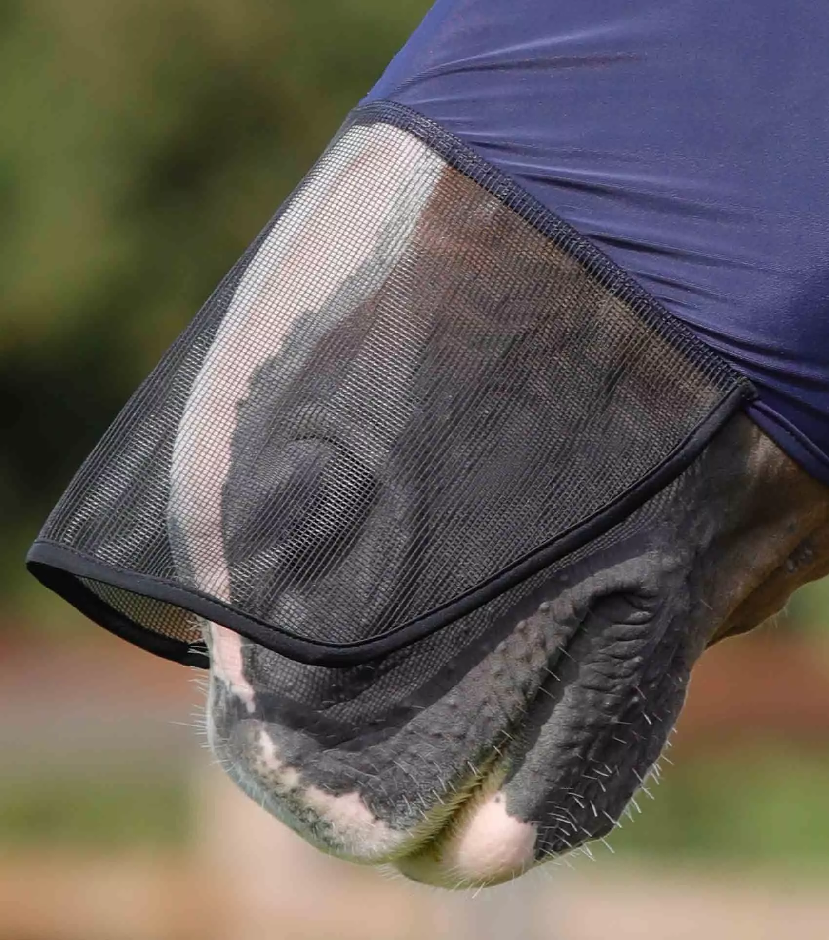 Premier Equine Comfort Tech Lycra Fly Mask Xtra - Image 3