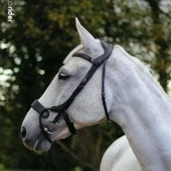 EcoRider Freedom Jump Bridle