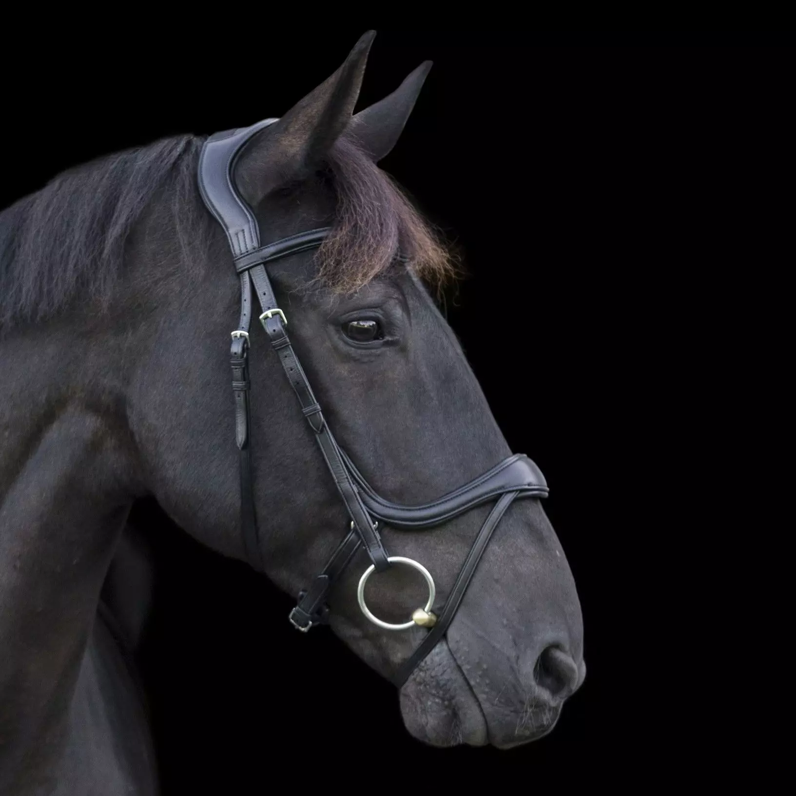 EcoRider Ecosoft Enigma Bridle - Image 9