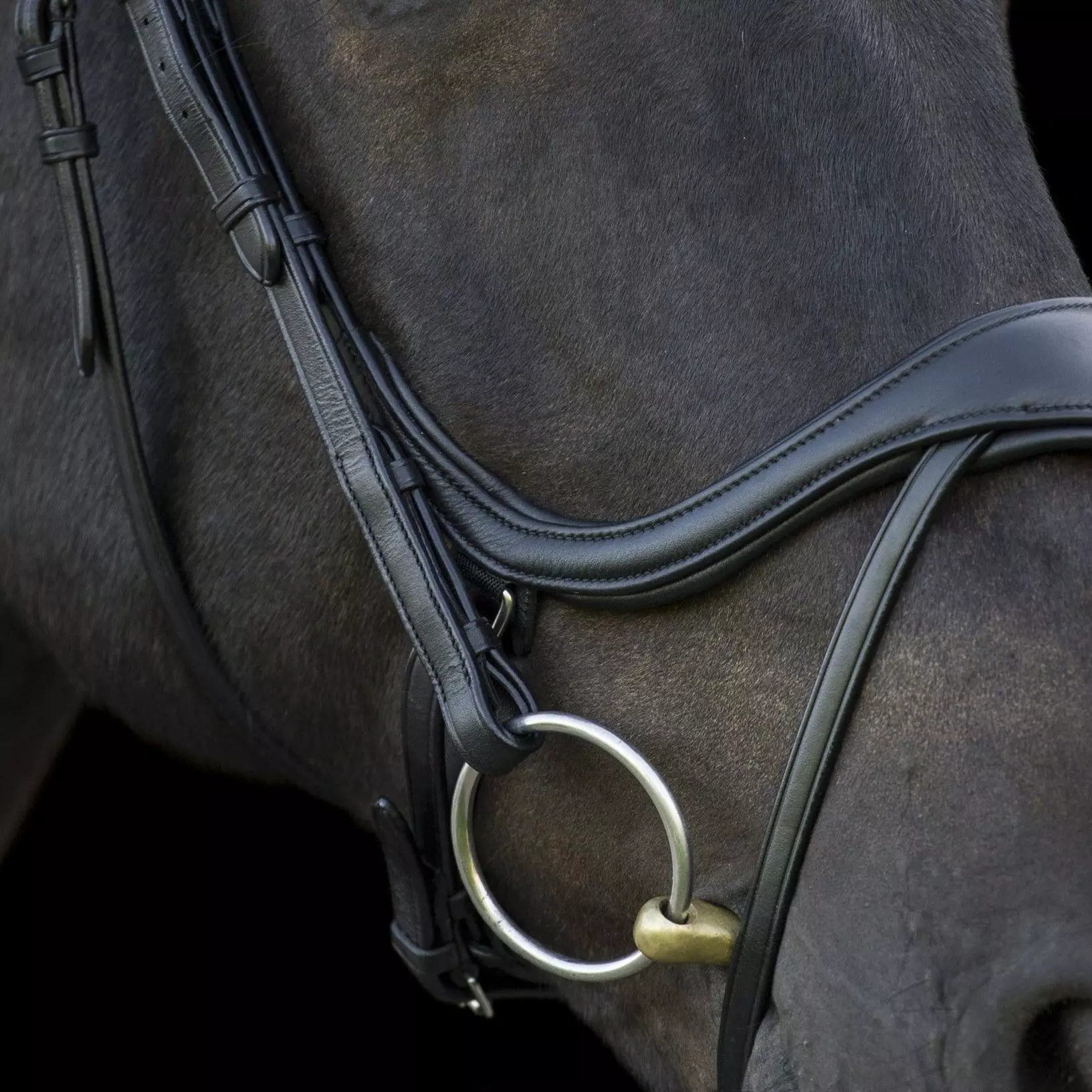 EcoRider Ecosoft Enigma Bridle - Image 2