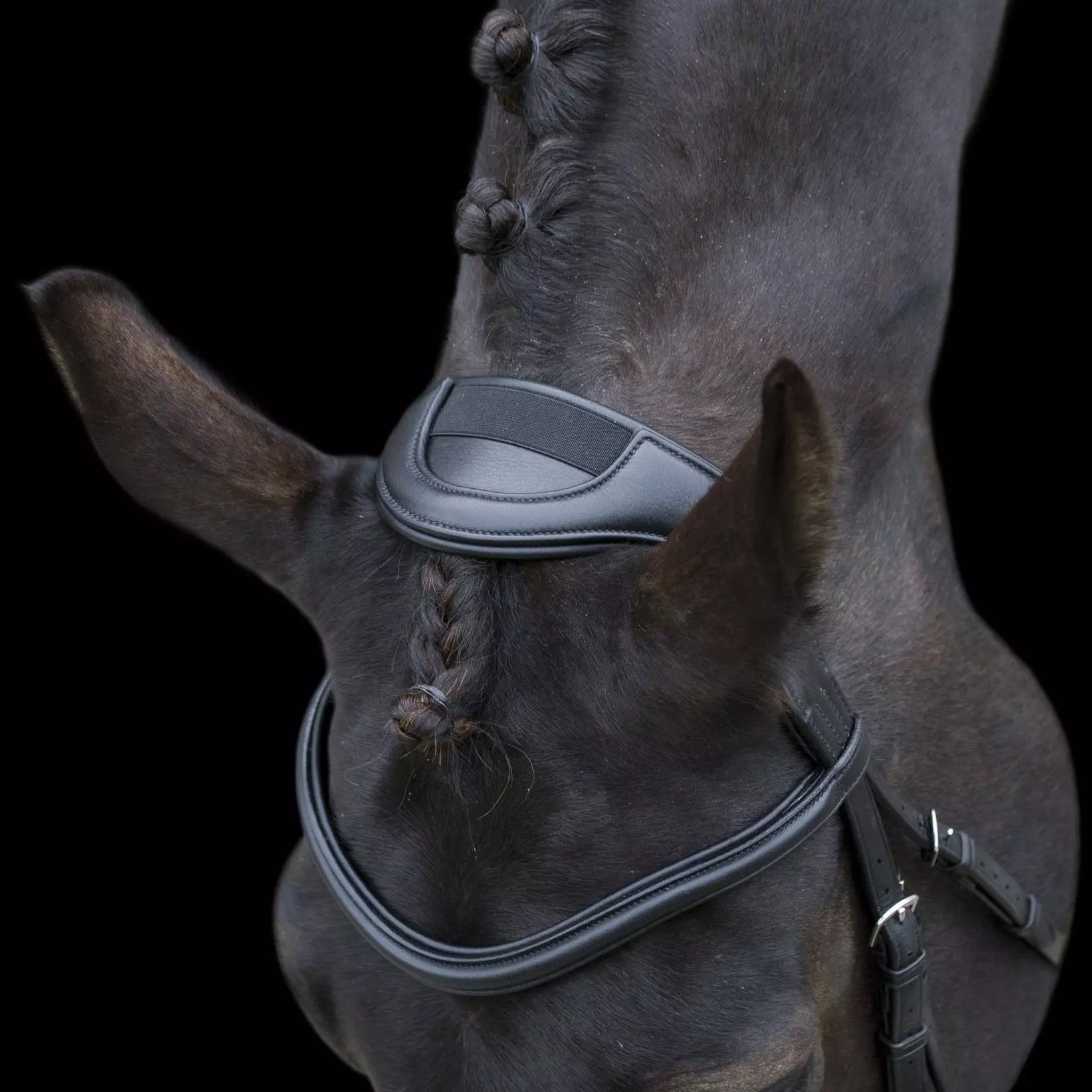 EcoRider Ecosoft Enigma Bridle - Image 11