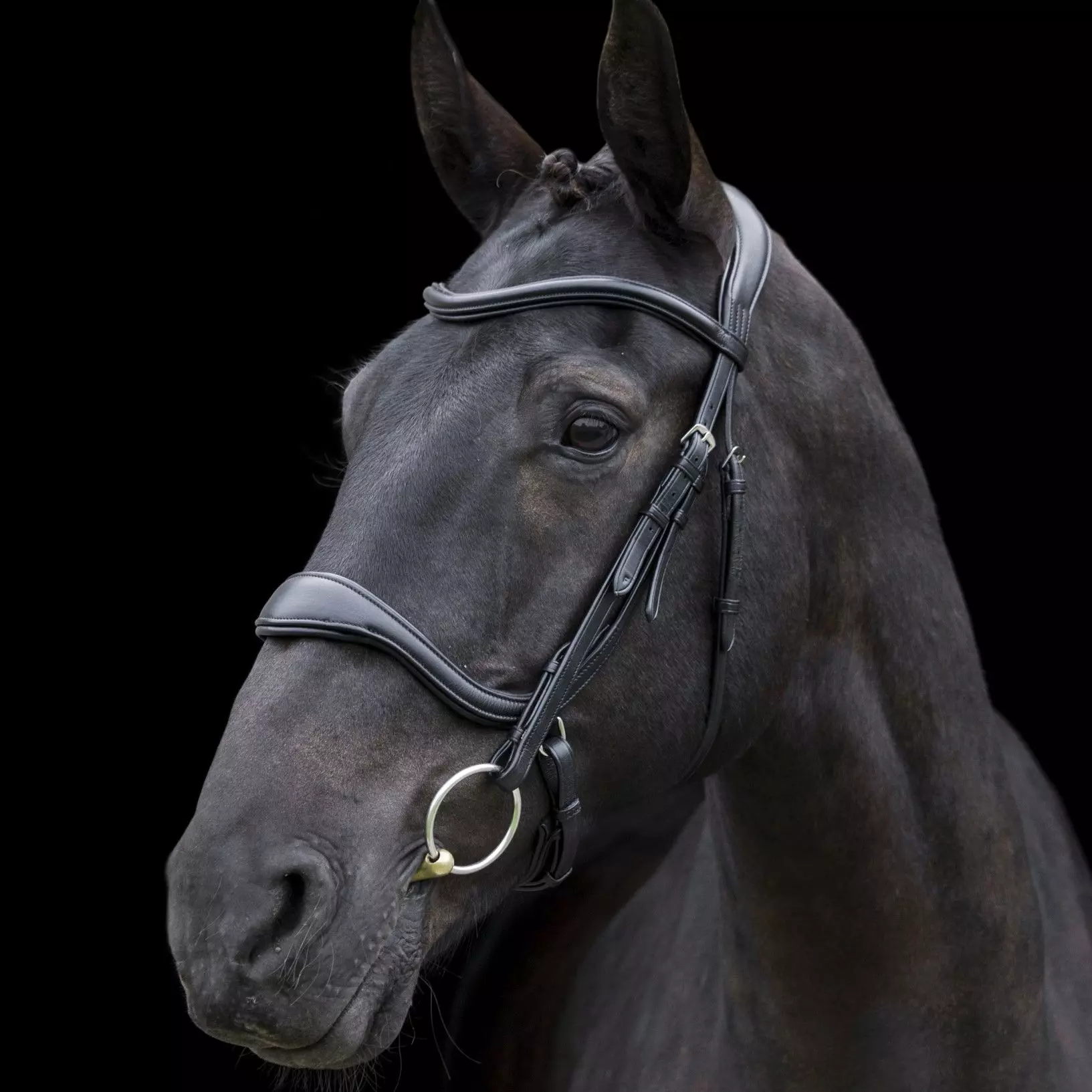 EcoRider Ecosoft Enigma Bridle - Image 12