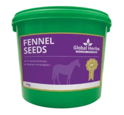 Global Herbs Fennel Seeds