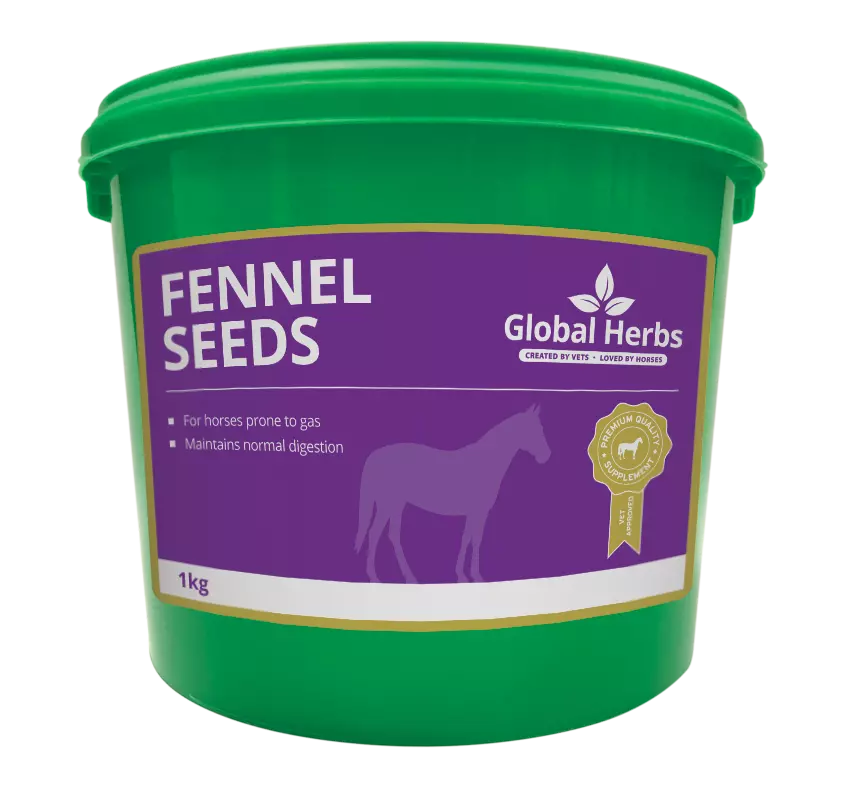 Global Herbs Fennel Seeds