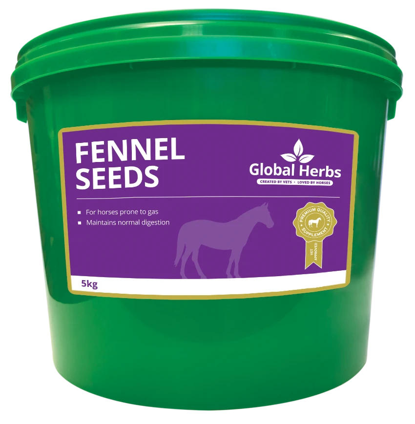 Global Herbs Fennel Seeds - Image 2
