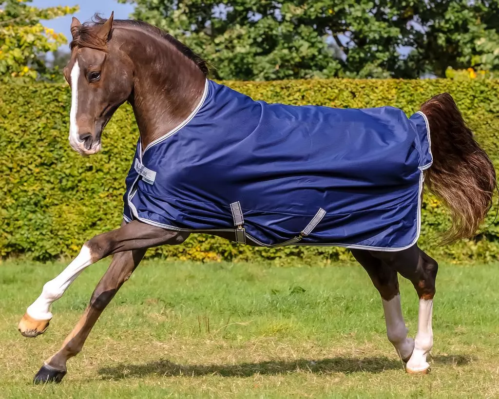 Bucas Freedom Turnout Light - Image 6