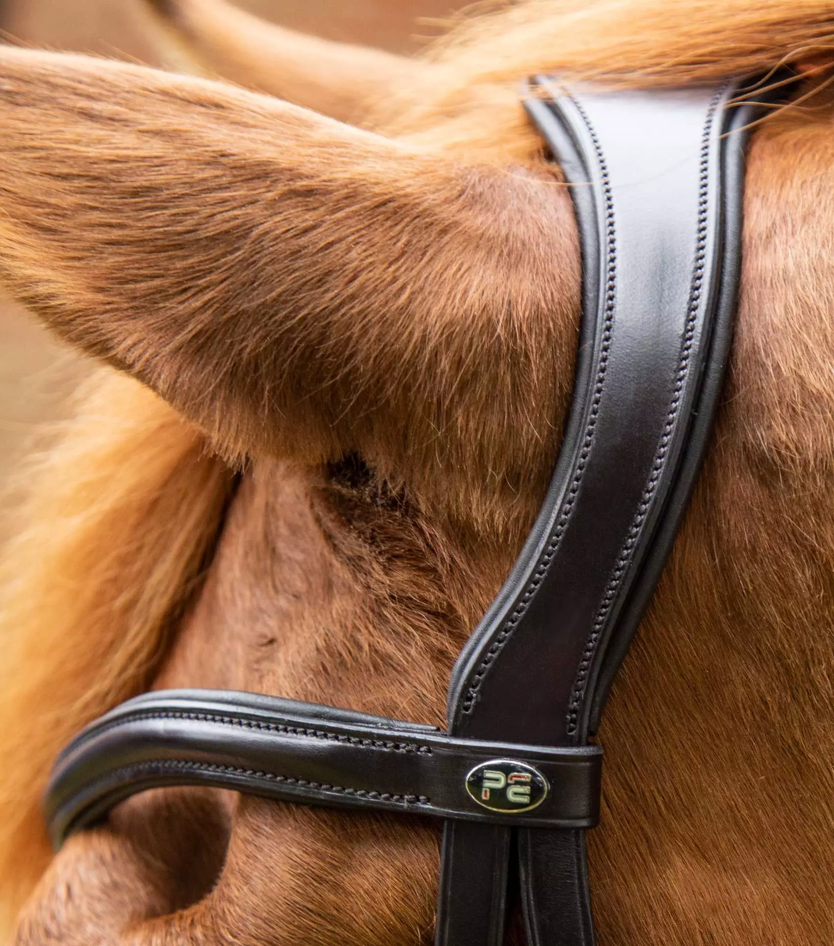 Premier Equine Glorioso Grackle Bridle - Image 12