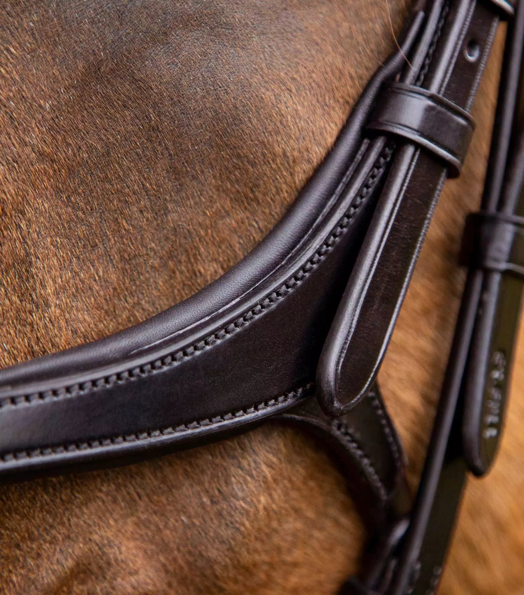 Premier Equine Glorioso Grackle Bridle - Image 5