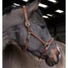 John Whitaker Valencia Fancy Stitch Leather Headcollar