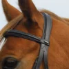 Heritage English Leather Comfort Bridle-Cavesson Noseband