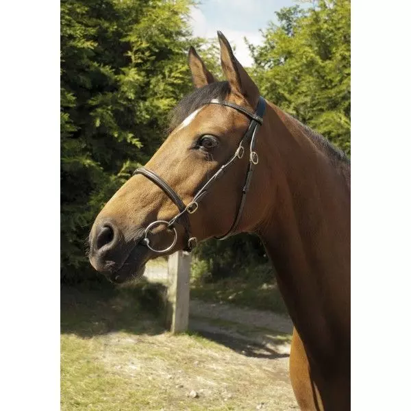 Heritage English Leather In-Hand Bridle - Image 2