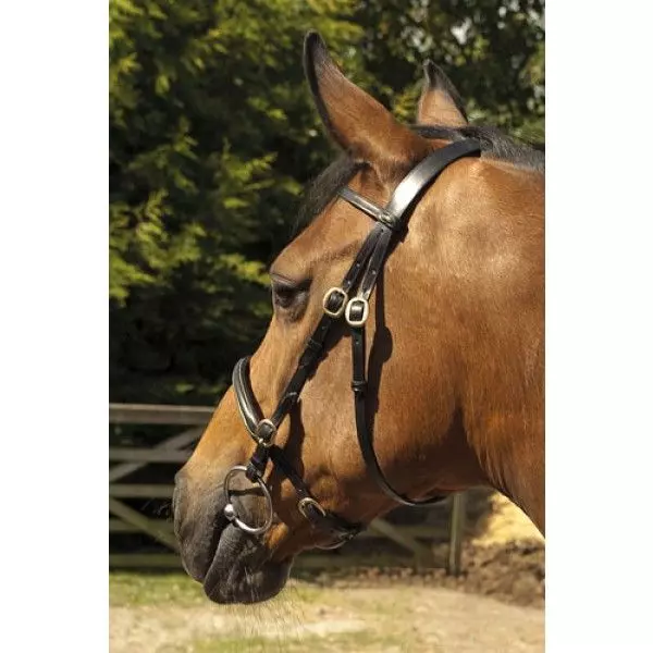 Heritage English Leather In-Hand Bridle