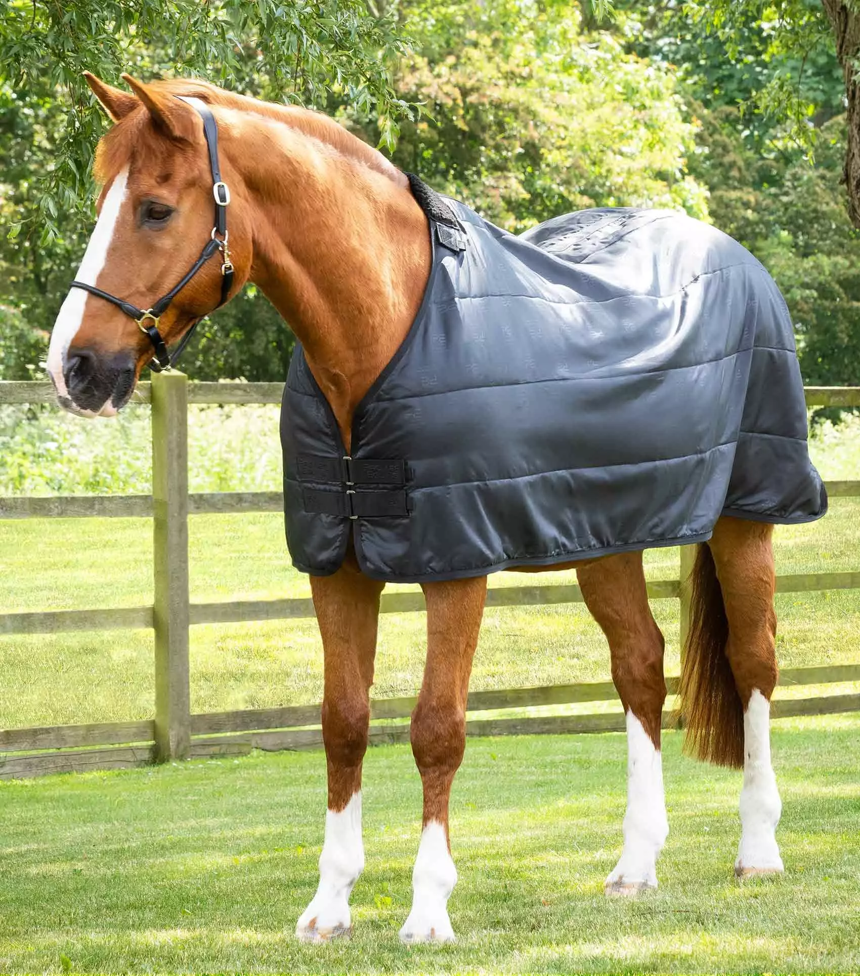 Premier Equine 100g Horse Rug Liner - Image 13