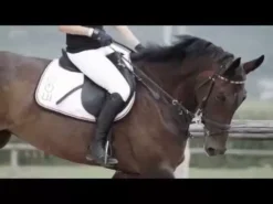 EGO7 Orion Tall Boots