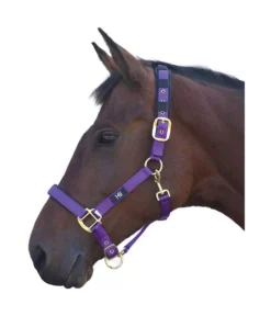 Hy Deluxe Padded Head Collar