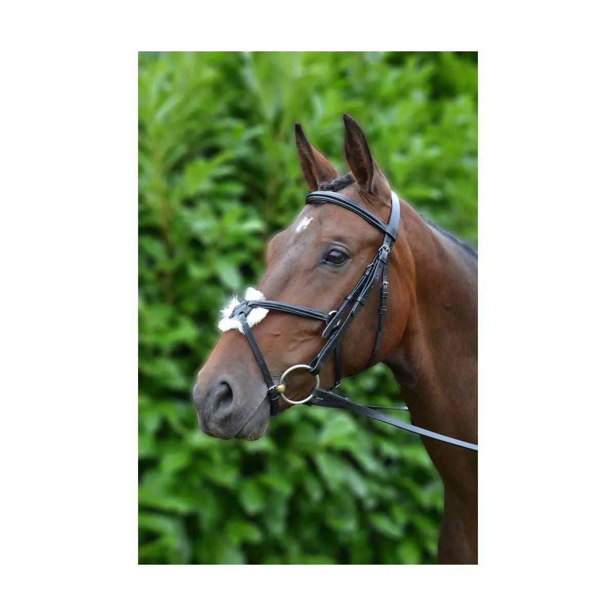 Hy Mexican Bridle With Rubber Grip Reins - Image 9