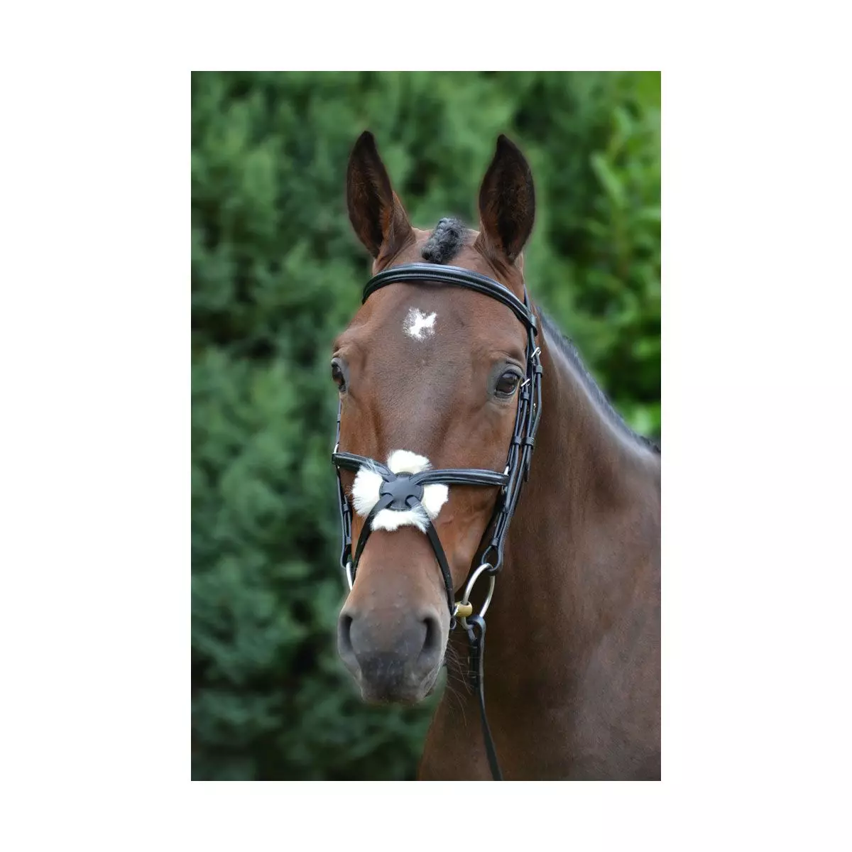 Hy Mexican Bridle With Rubber Grip Reins - Image 18