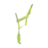 HyVIZ Reflector Head Collar And Lead Rope