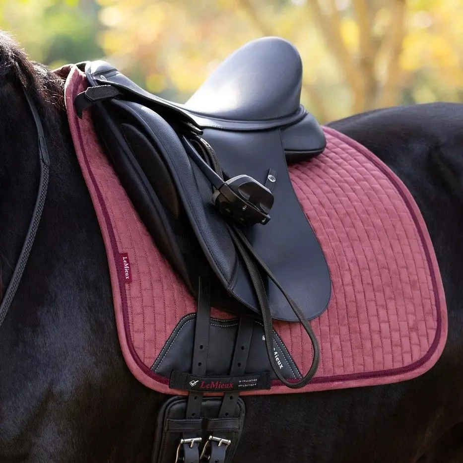 Lemieux ProSport Suede Dressage Square - Image 5