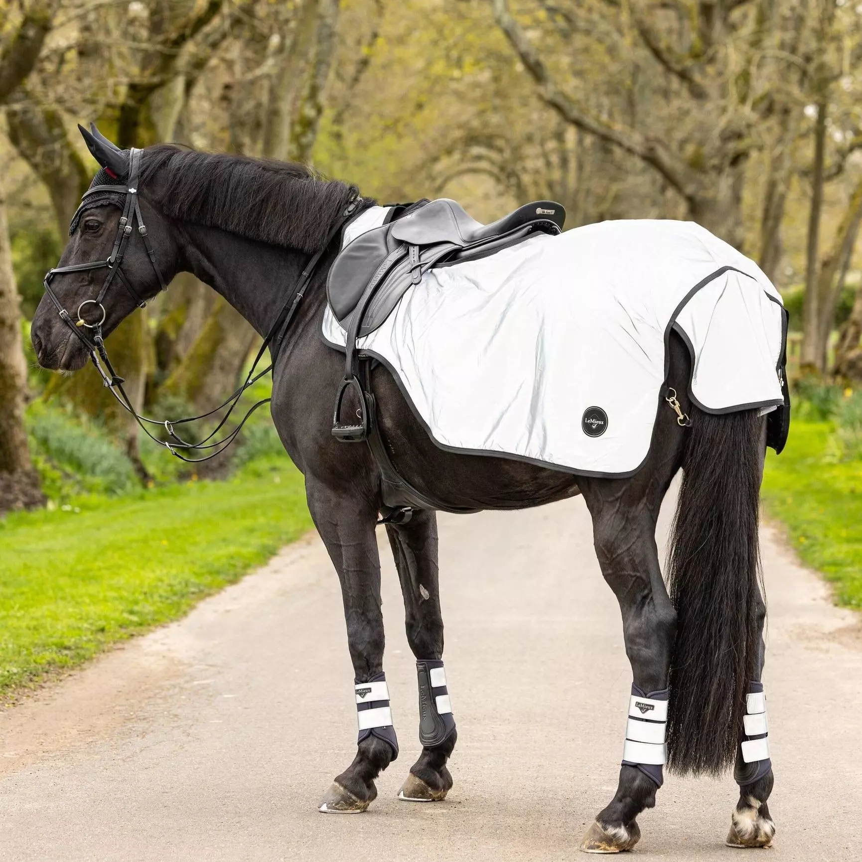 LeMieux Reflective Exercise Sheet - Image 2