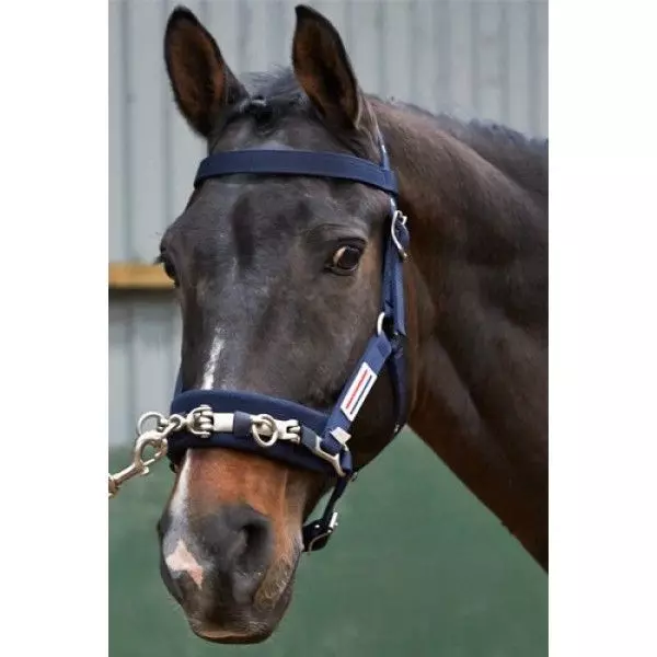 John Whitaker Lunge Cavesson - Image 2