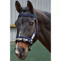 John Whitaker Lunge Cavesson