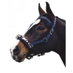 Kincade Coordinate Lunge Cavesson