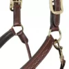LeMieux Leather Stitch Headcollar