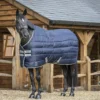 LeMieux Arika Stable-Tek Rug 350g