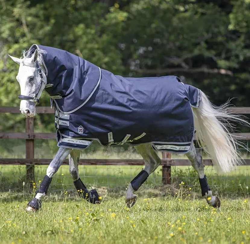 LeMieux Arika Storm-Tek Rug 100g - Image 11