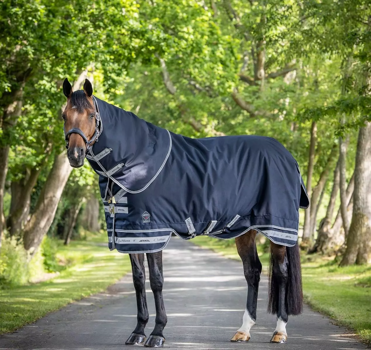 LeMieux Arika Storm-Tek Rug 100g - Image 4