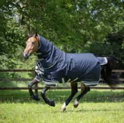 LeMieux Arika Storm-Tek Turnout Rug 350g