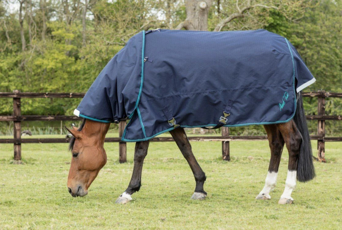 Mark Todd Heavyweight Turnout Rug With Neck Included - Image 2