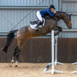 Airowear Shadow Back Protector - Adults