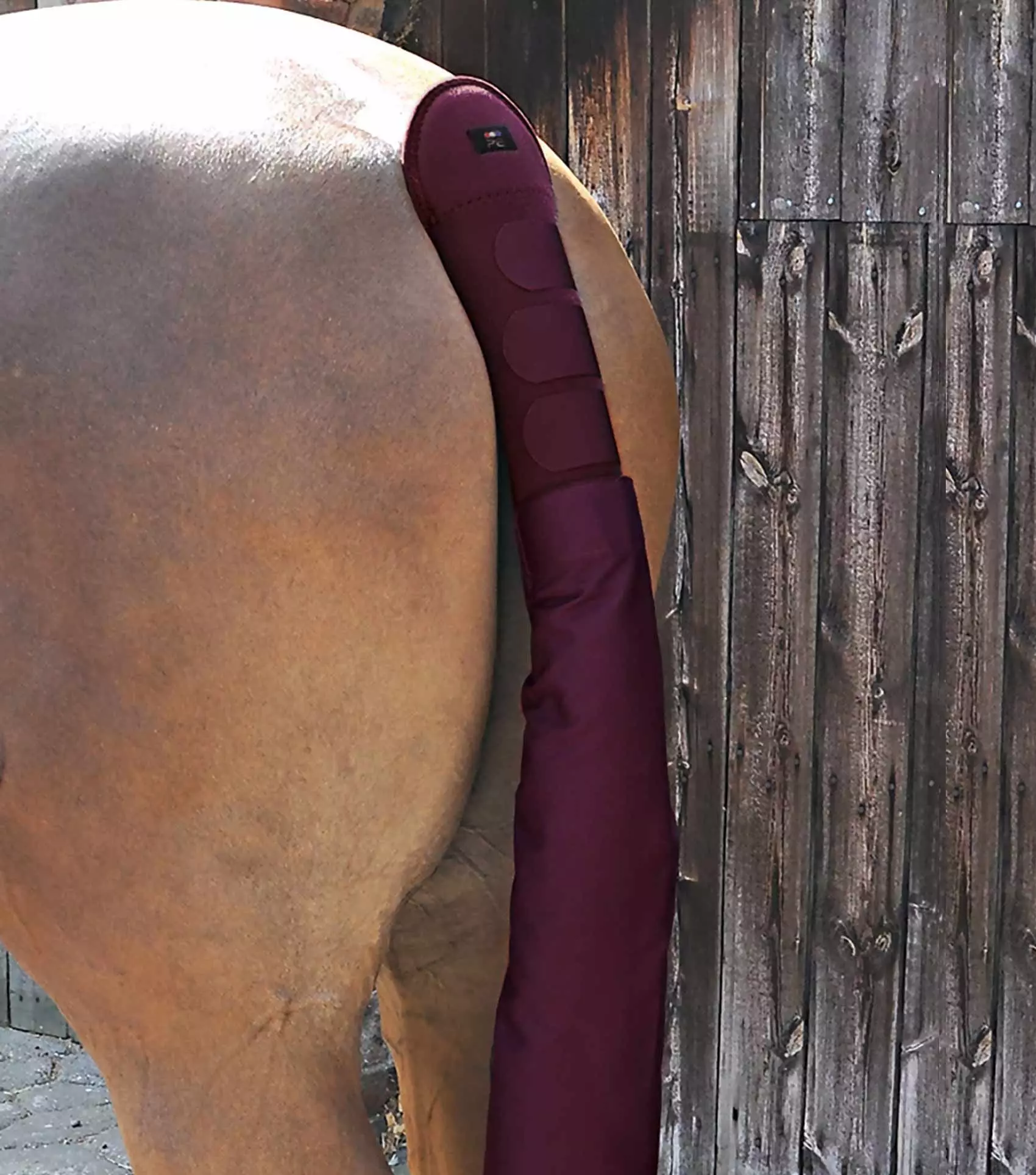 Premier Equine Padded Horse Tail Guard With Tail Bag - Image 2