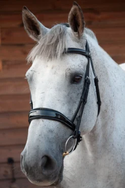 Henry James Patent Dressage Bridle - Black