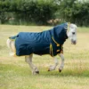 Gallop Ponie 200 Combo Turnout Rug