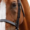 Premier Equine Primo Hunter Bridle