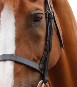 Premier Equine Primo Hunter Bridle