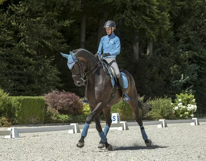 Lemieux ProSport Suede Dressage Square - Image 2